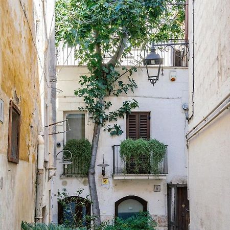 Il Claustro - Bed And Breakfast 알타무라 외부 사진