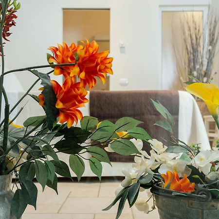 Il Claustro - Bed And Breakfast 알타무라 외부 사진