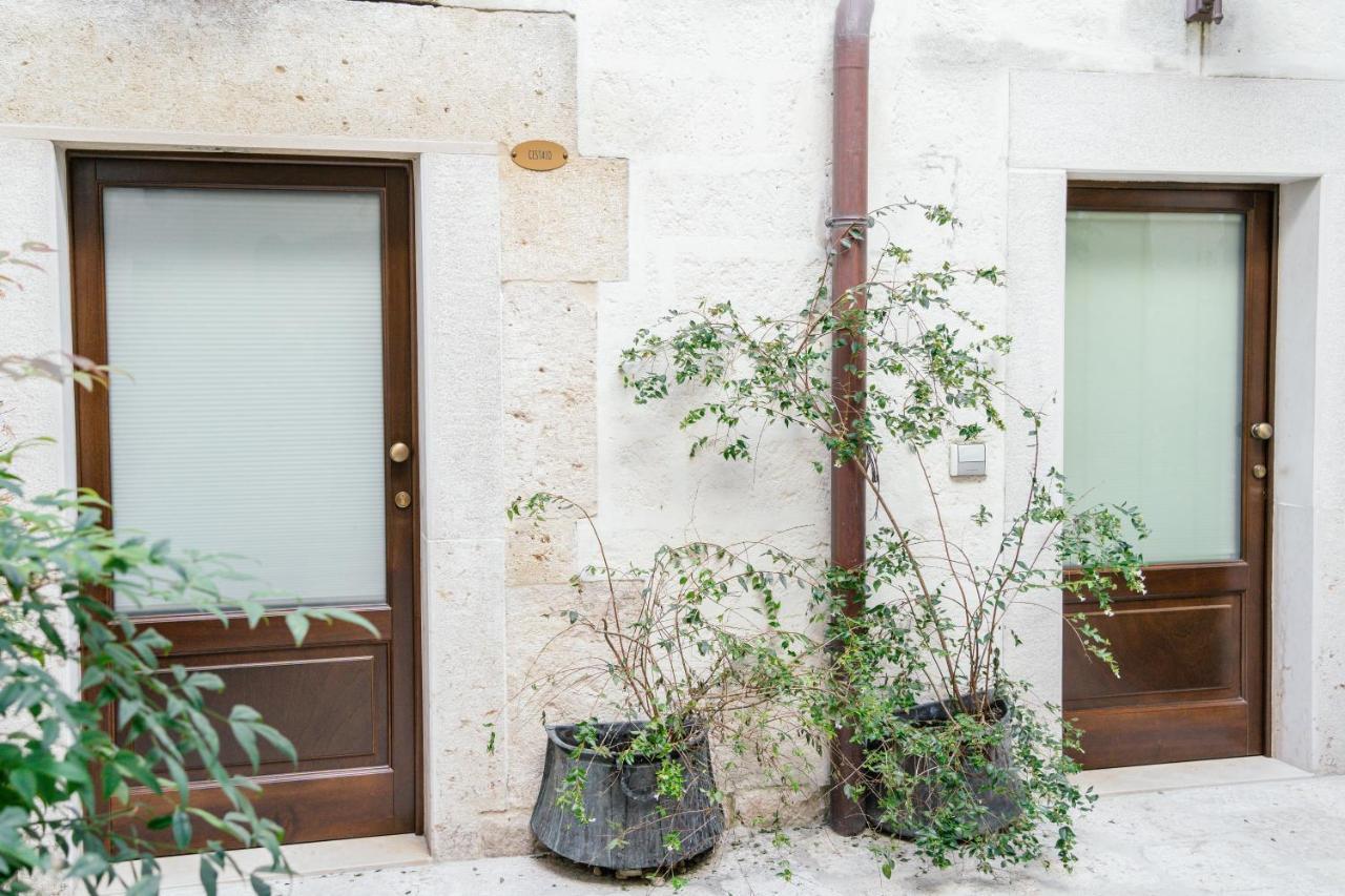 Il Claustro - Bed And Breakfast 알타무라 외부 사진