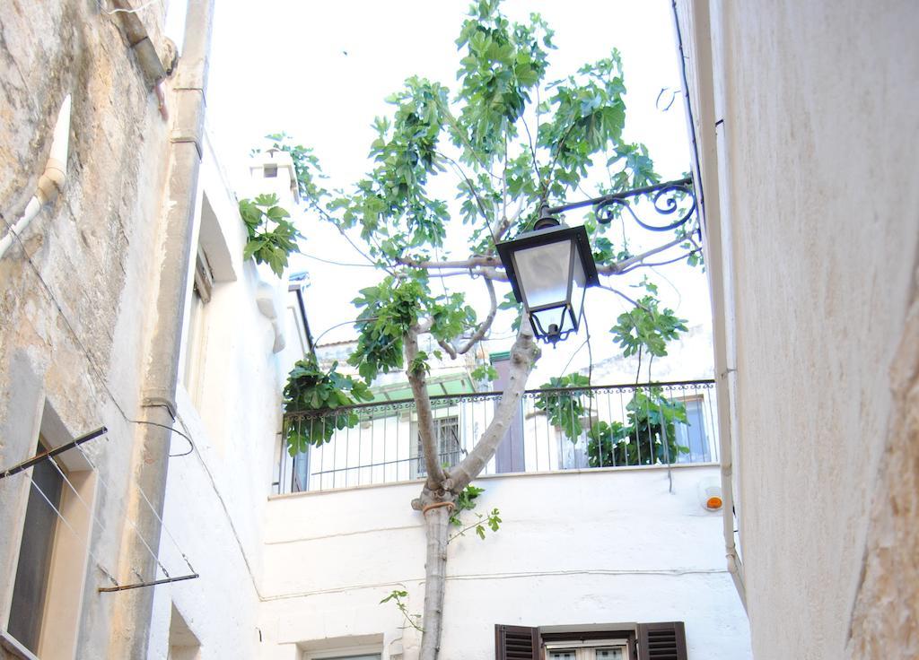 Il Claustro - Bed And Breakfast 알타무라 외부 사진